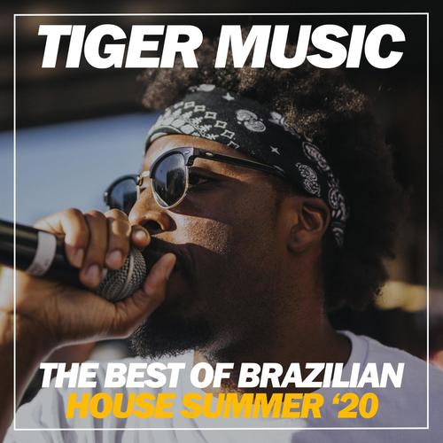 The Best Of Brazilian House Summer '20