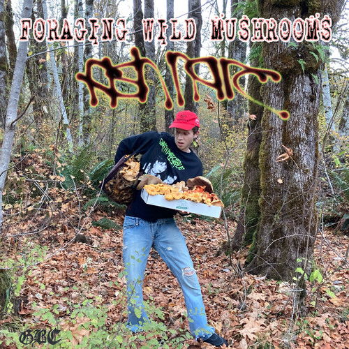 Foraging Wild Mushrooms (Explicit)