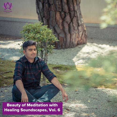 Beauty of Meditation with Healing Soundscapes, Vol. 6