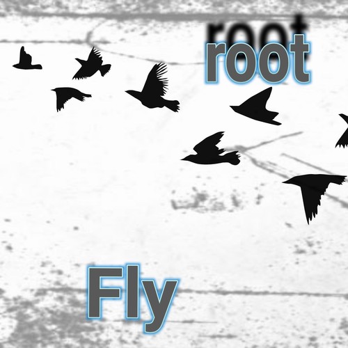 Fly