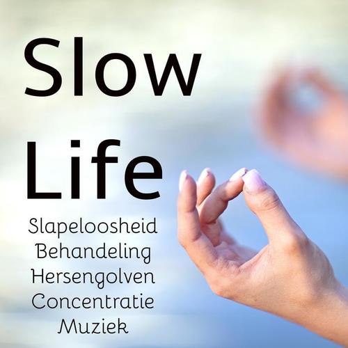 Slow Life - Slapeloosheid Behandeling Hersengolven Concentratie Muziek voor Mindfulness Meditatie Stress Verminderen Beter Slapen