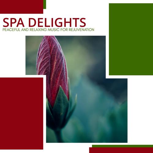 Spa Delights - Peaceful And Relaxing Music For Rejuvenation