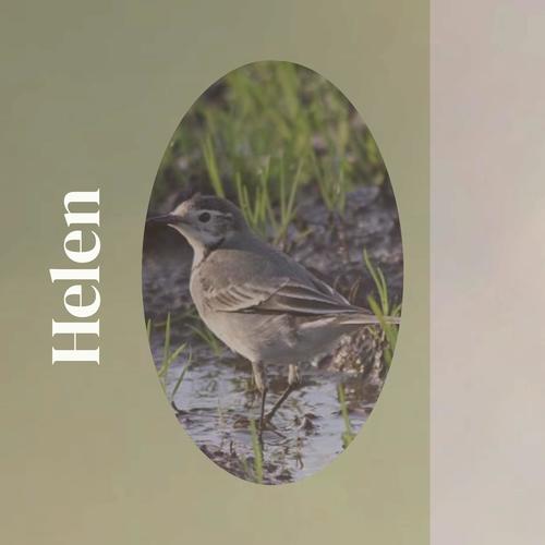 Helen