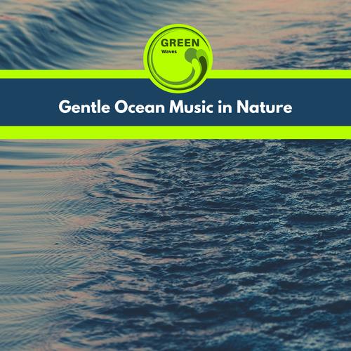 Gentle Ocean Music in Nature