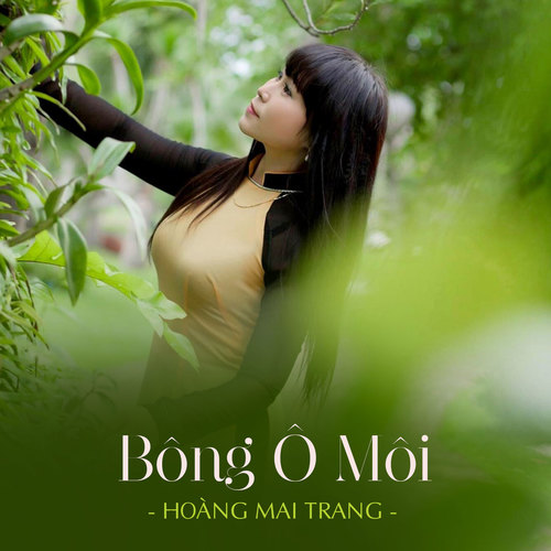 Bông Ô Môi