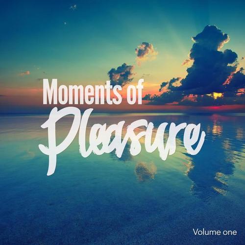 Moments of Pleasure, Vol. 1 (Jazzy & Smooth Chill Out Tunes)