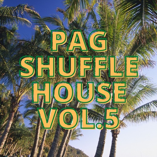 Pag Shuffle House Vol.5