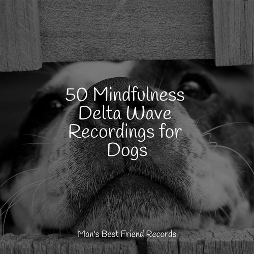 50 Mindfulness Delta Wave Recordings for Dogs