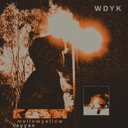 WDYK (feat. Rayyan.)