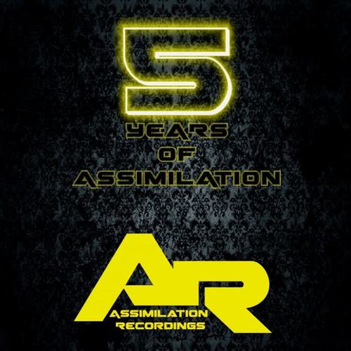 5 Years of Assimilation