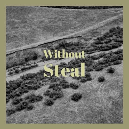 Without Steal