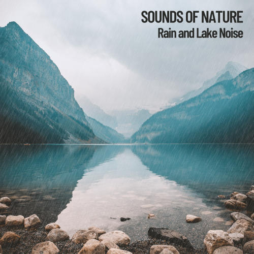 Sounds of Nature: Rain and Lake Noise