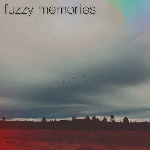 Fuzzy Memories