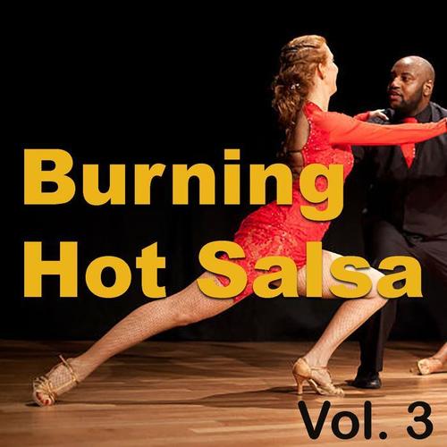 Burning Hot Salsa, Vol. 3