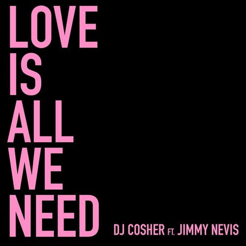 Love Is All We Need (feat. Jimmy Nevis)