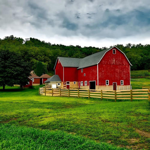 My Little farm