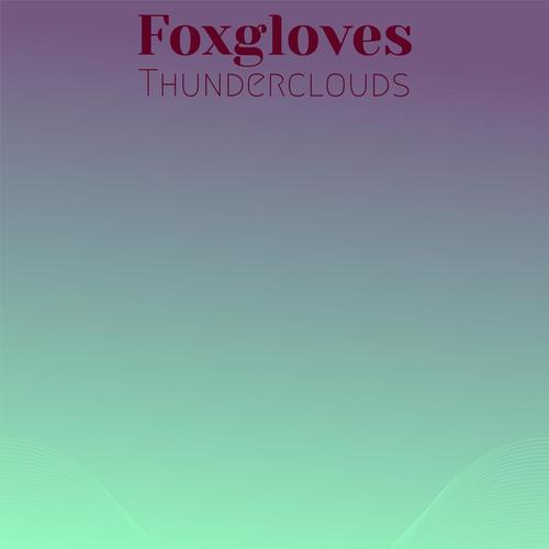 Foxgloves Thunderclouds