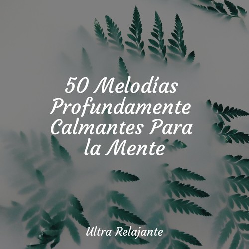 50 Melodías Profundamente Calmantes Para la Mente