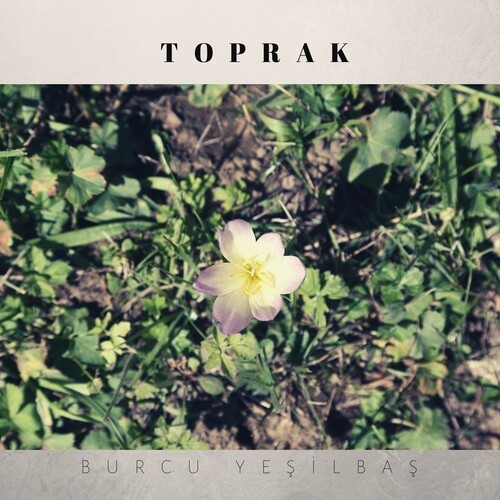 Toprak