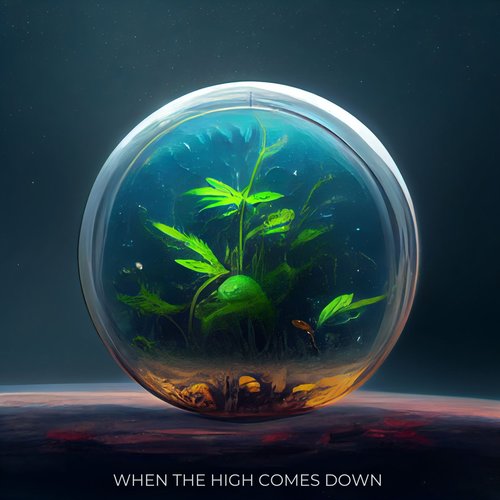 When The High Comes Down