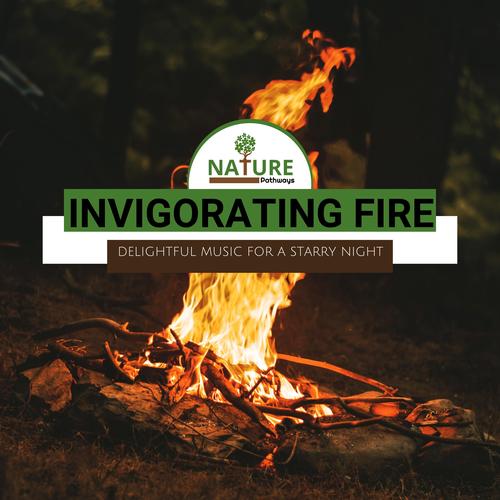 Invigorating Fire - Delightful Music for A Starry Night