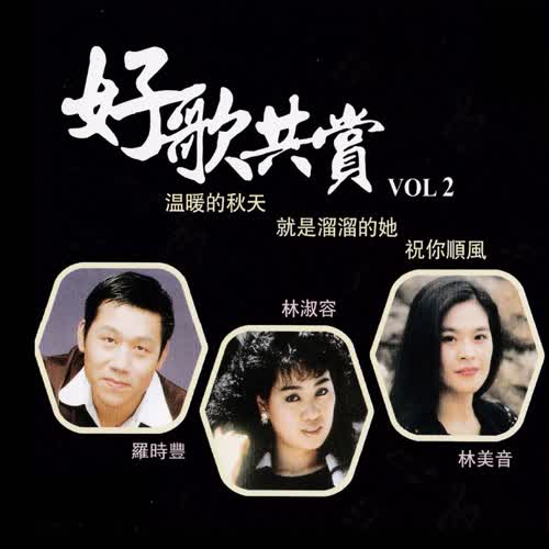 好歌共赏, Vol. 2