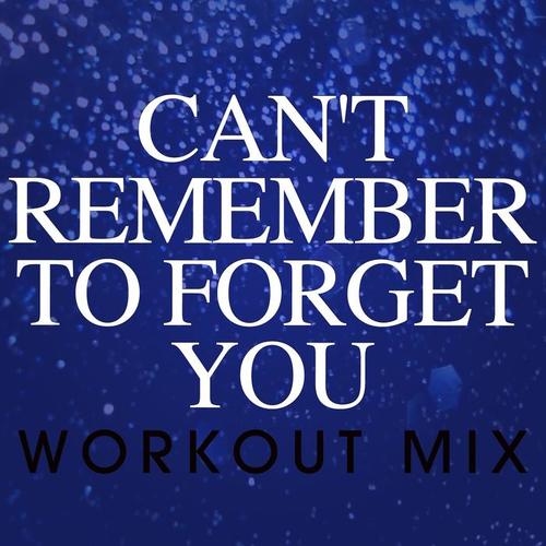 Can't Remember to Forget You - Single