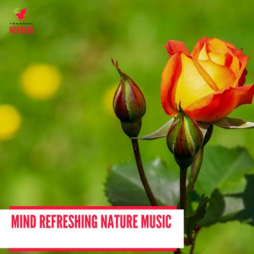 Mind Refreshing Nature Music