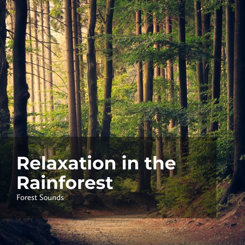 Relaxation in the Rainforest