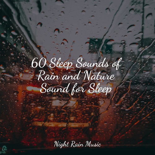 60 Sleep Sounds of Rain and Nature Sound for Sleep