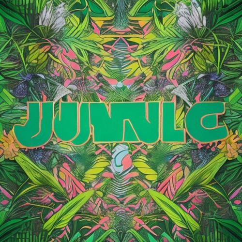 JUNGLE DUTCH SOUND JJ