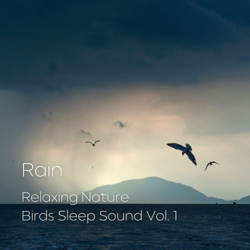 Rain: Relaxing Nature Birds Sleep Sound Vol. 1