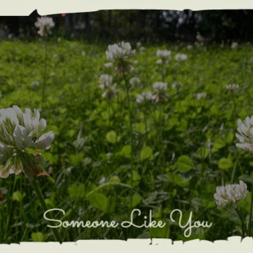 Someone Like You