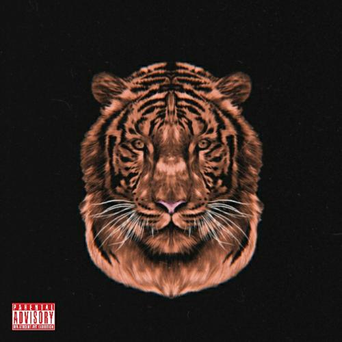 Tiger (Explicit)