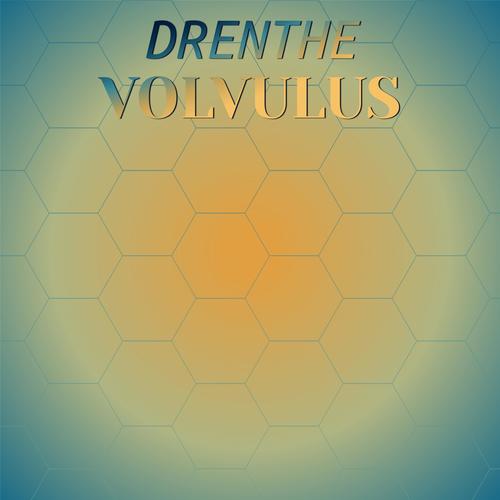 Drenthe Volvulus