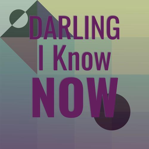 Darling I Know Now