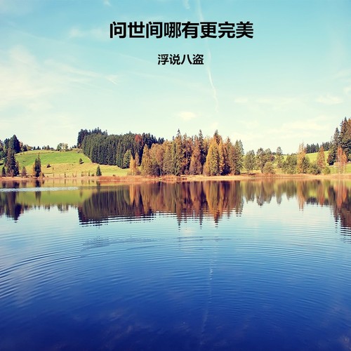问世间哪有更完美