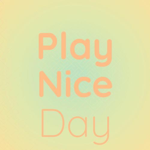 Play Nice Day