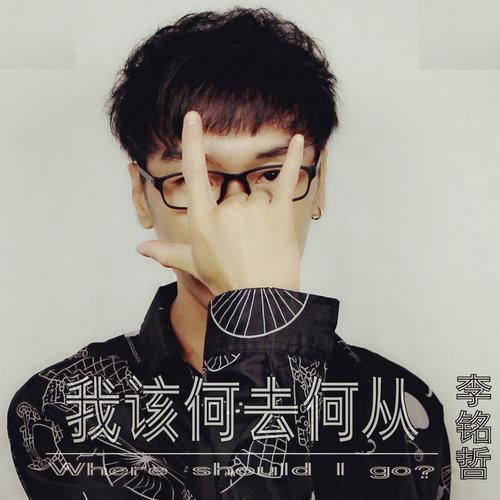 我该何去何从