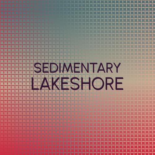 Sedimentary Lakeshore