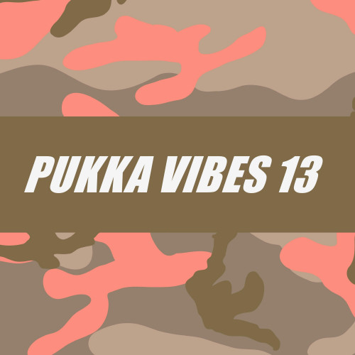 PUKKA VIBES 13