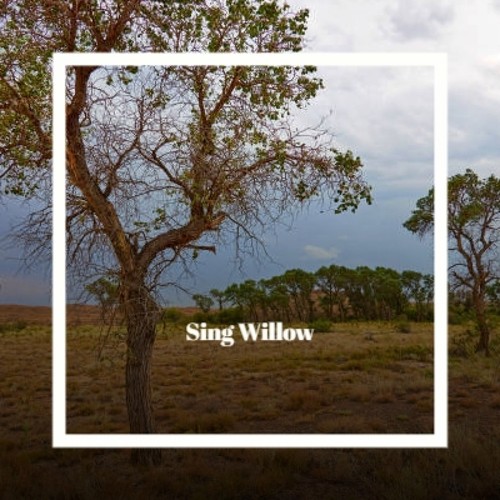 Sing Willow