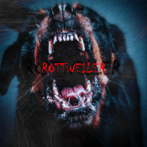 Rottweiler (Explicit)