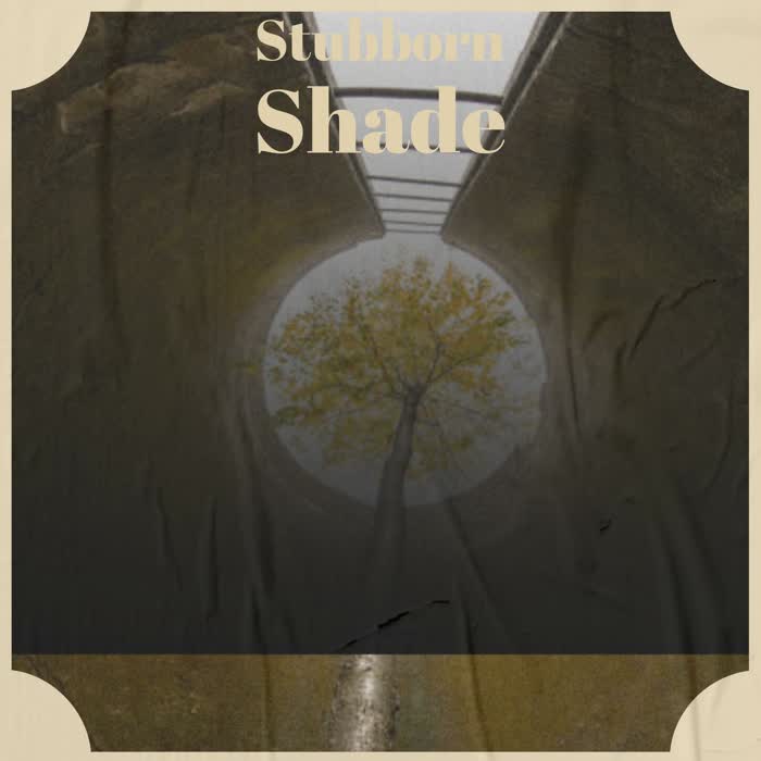 Stubborn Shade