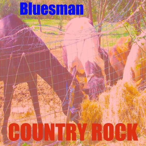 Country Rock Mix