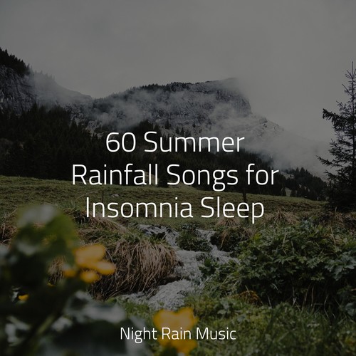 60 Summer Rainfall Songs for Insomnia Sleep