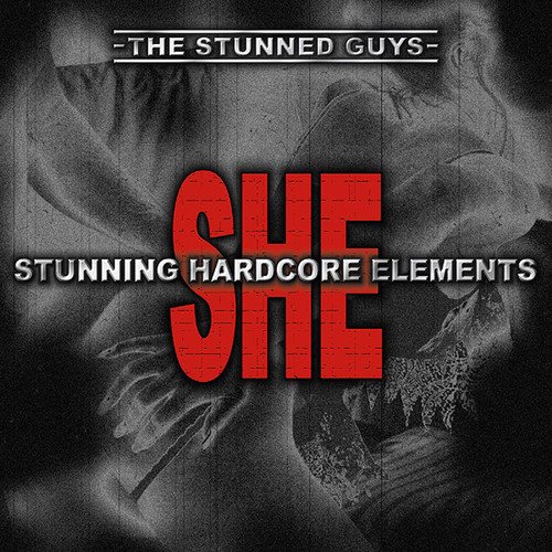 SHE - Stunning Hardcore Elements (Explicit)