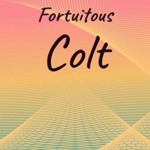 Fortuitous Colt