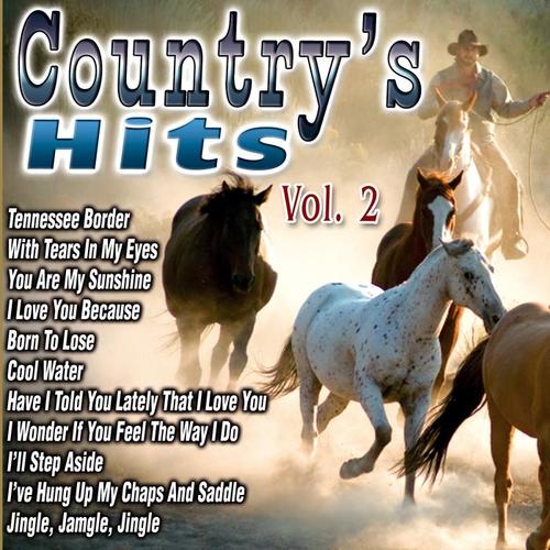 Country's Hits Vol.2