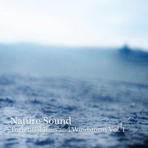 Nature Sound: Torrential Rain and Windstorm Vol. 1